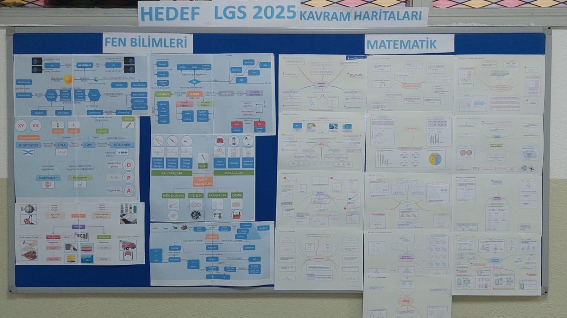 HEDEF LGS 2025 KAVRAM HARİTALARI